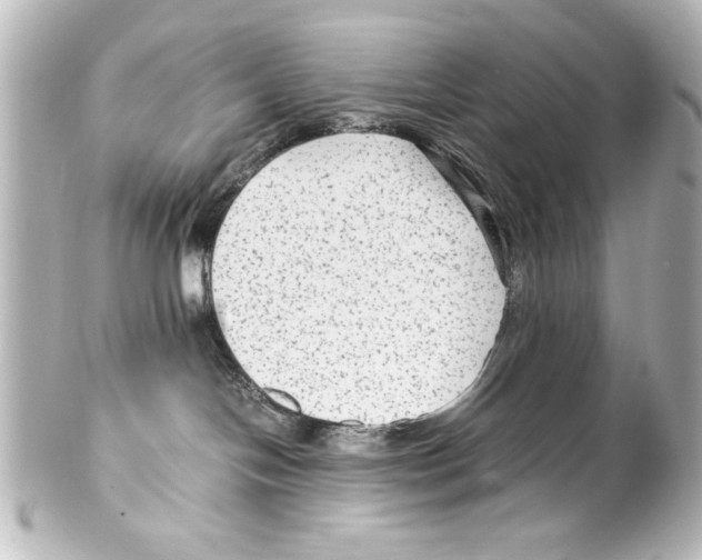 X0000100190094200806271629