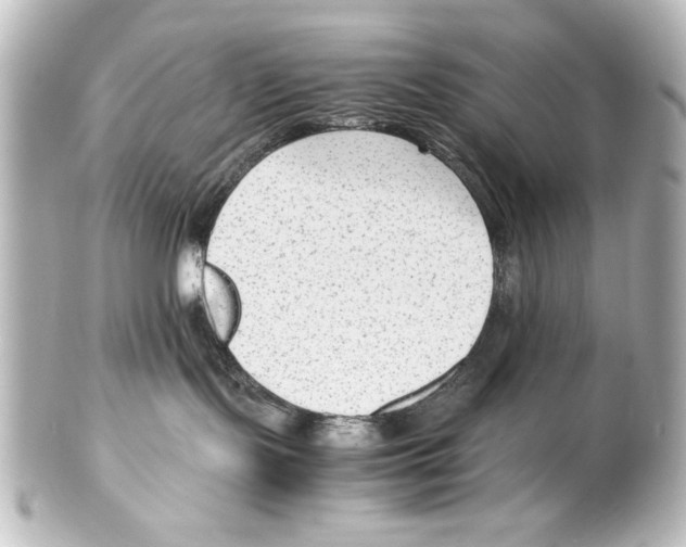 X0000100190095200806271629