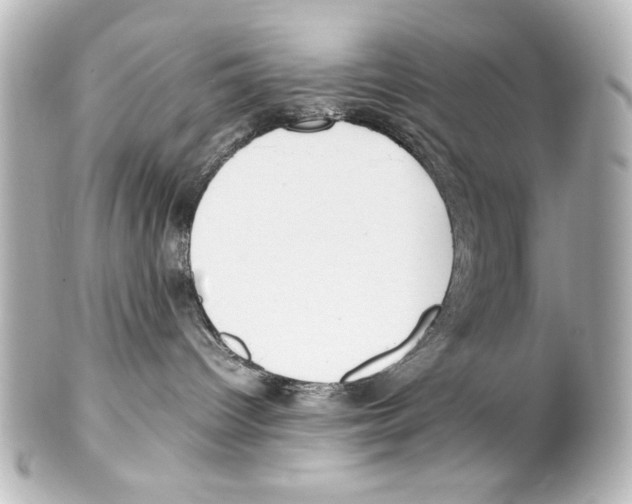 X0000100190096200806271629