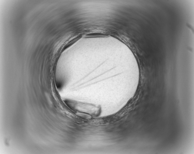 X0000100190097200806271628