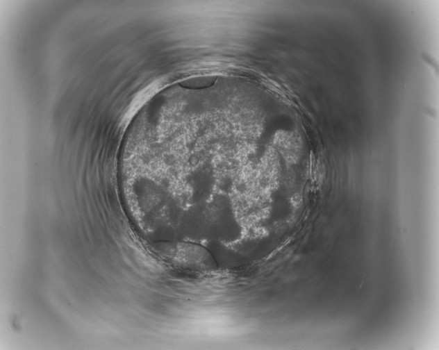 X0000100190099200806271628