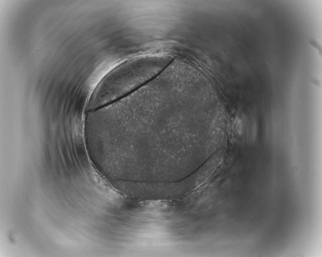 X0000100190100200806271628