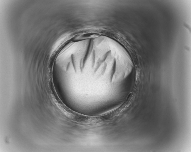 X0000100190101200806271628