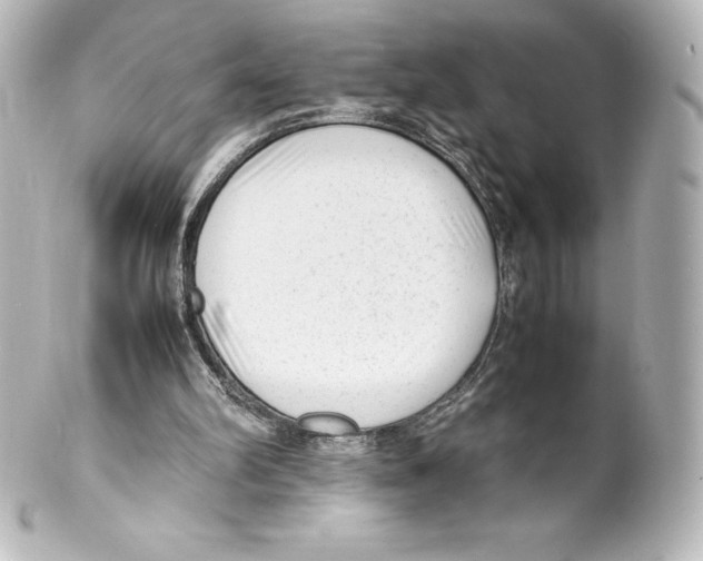 X0000100190102200806271628