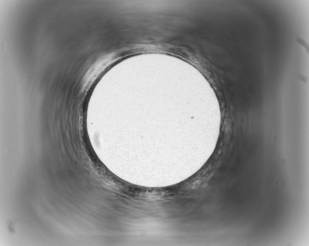 X0000100190103200806271628
