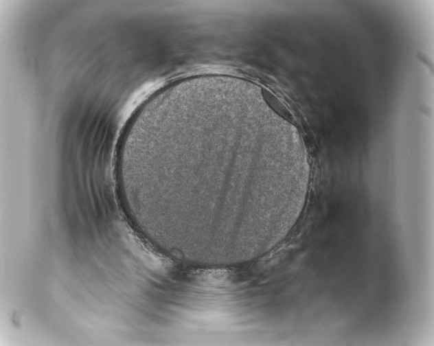 X0000100190104200806271628