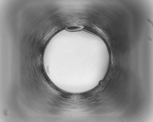 X0000100190105200806271628