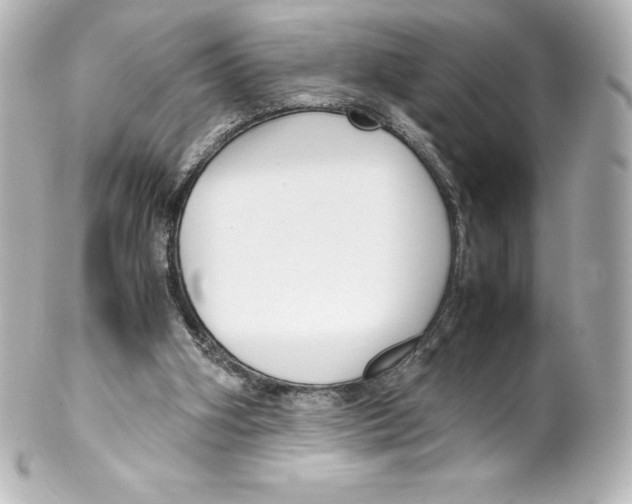 X0000100190106200806271628