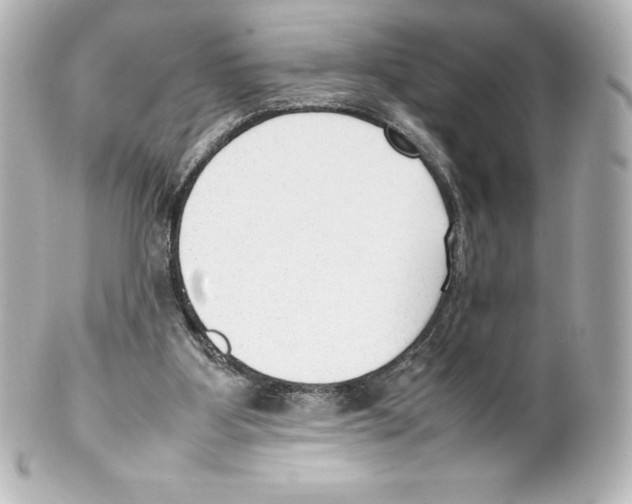 X0000100190107200806271628