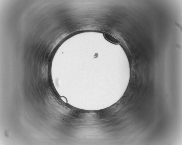 X0000100190108200806271628