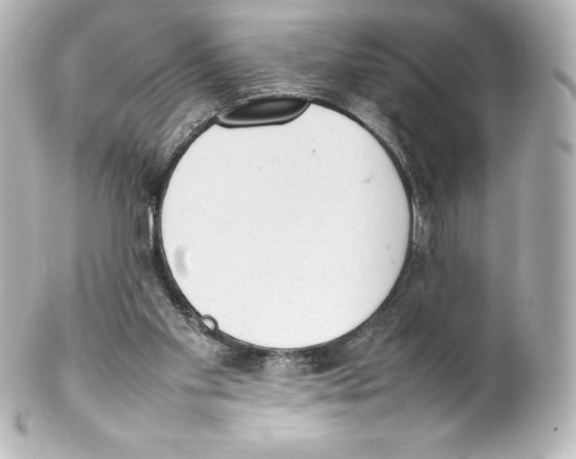 X0000100190109200806271628