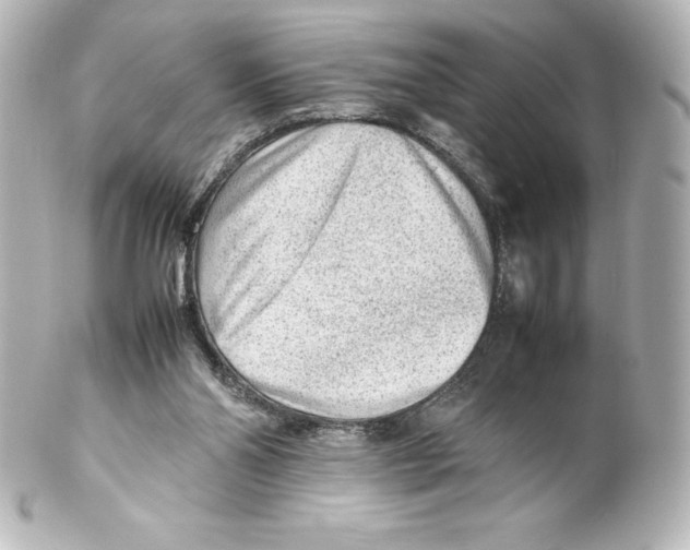 X0000100190110200806271628