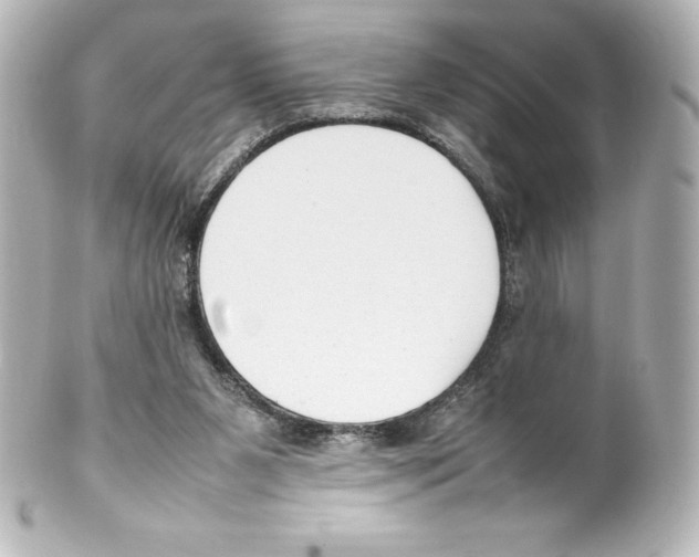 X0000100190111200806271628