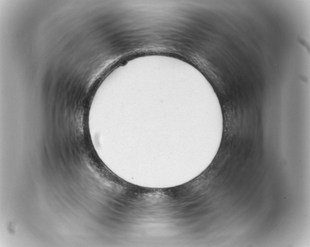 X0000100190112200806271628