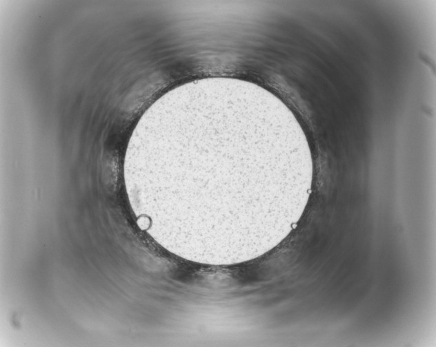 X0000100190113200806271628