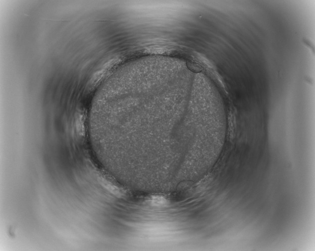 X0000100190114200806271628