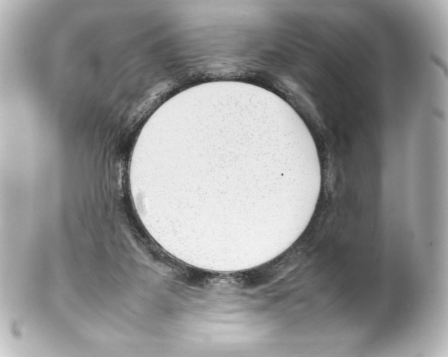 X0000100190115200806271628
