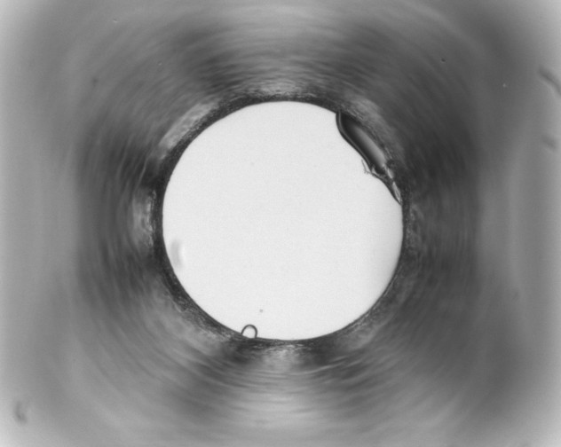 X0000100190116200806271628