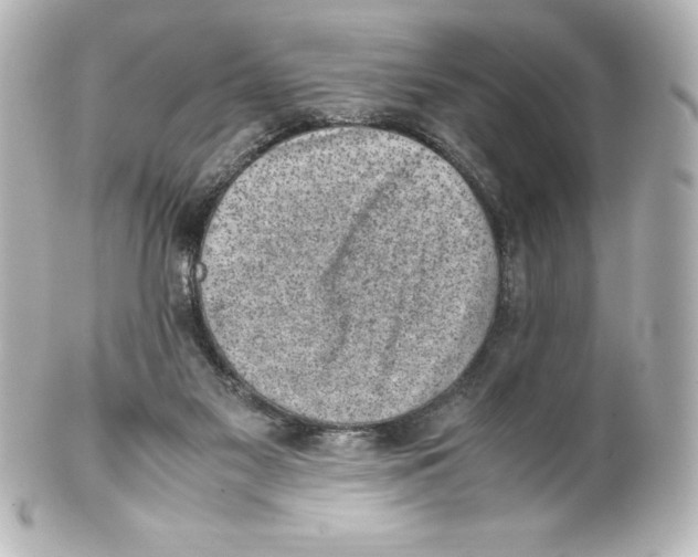 X0000100190117200806271628