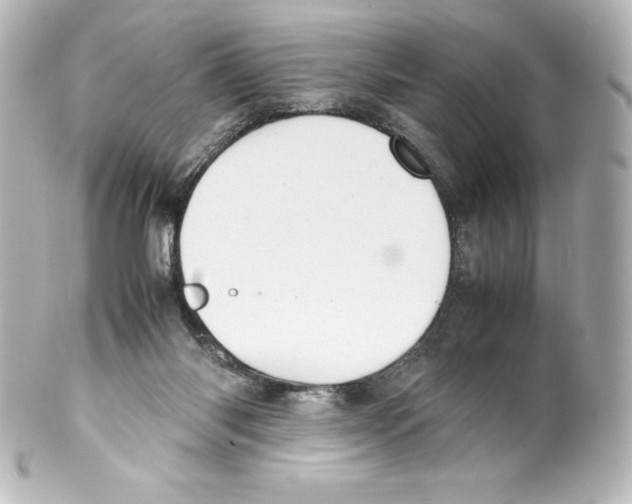 X0000100190118200806271628
