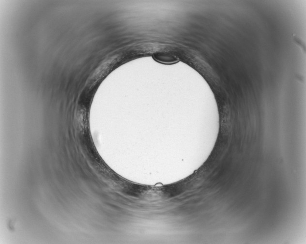 X0000100190119200806271628