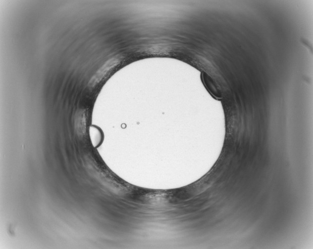 X0000100190120200806271628