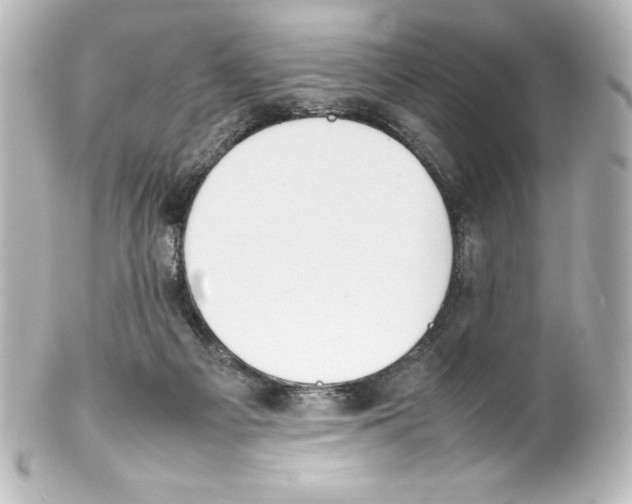 X0000100190121200806271628