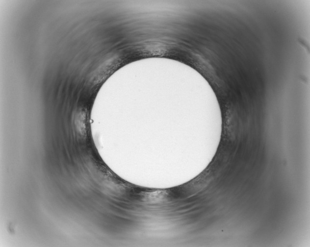 X0000100190122200806271628