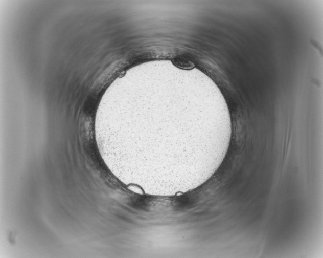 X0000100190123200806271628