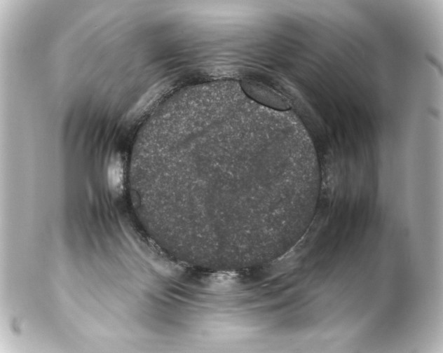 X0000100190124200806271628