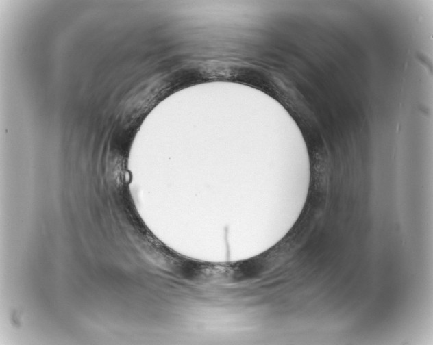 X0000100190125200806271628