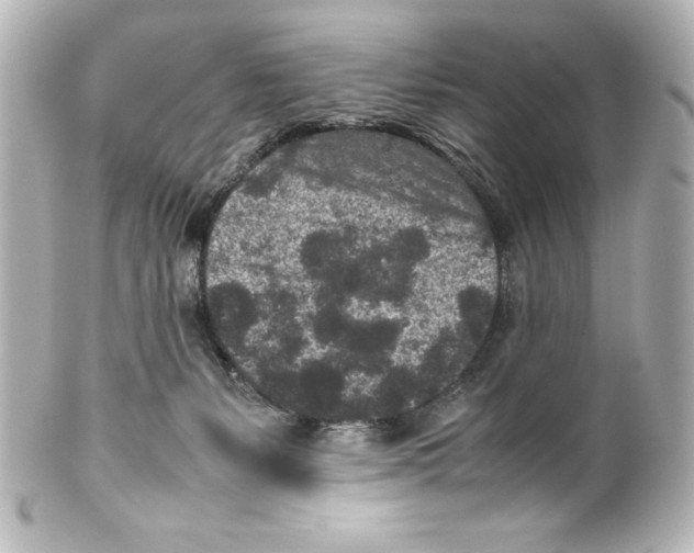 X0000100190127200806271628