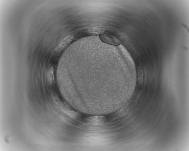 X0000100190128200806271628