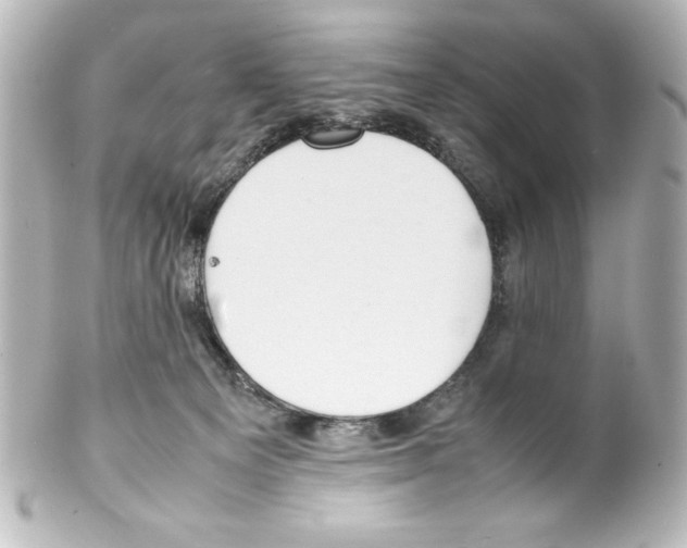 X0000100190129200806271628