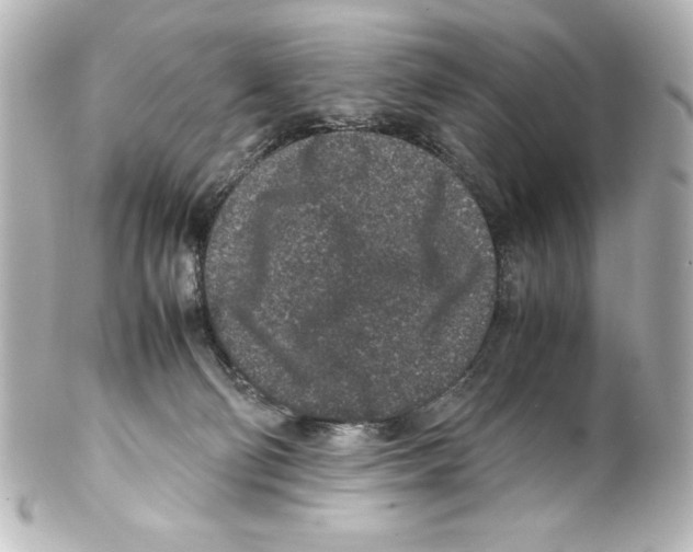 X0000100190130200806271628