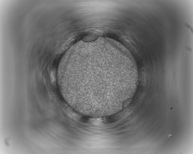 X0000100190131200806271628
