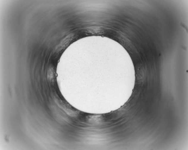 X0000100190132200806271628