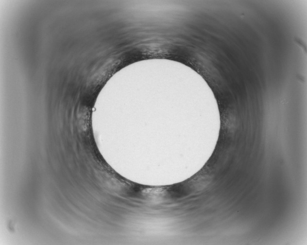 X0000100190133200806271628