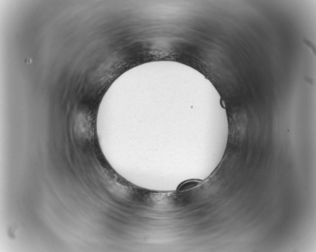 X0000100190136200806271627