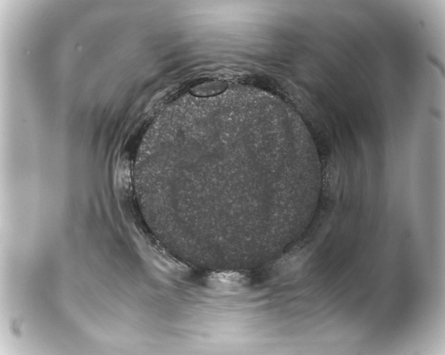 X0000100190137200806271627