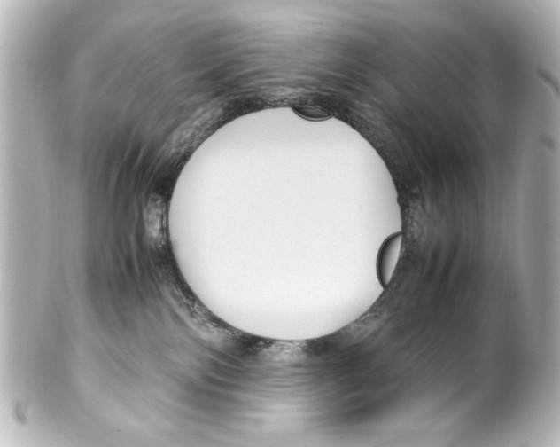 X0000100190138200806271627