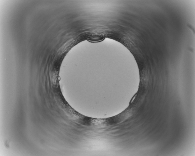 X0000100190139200806271627