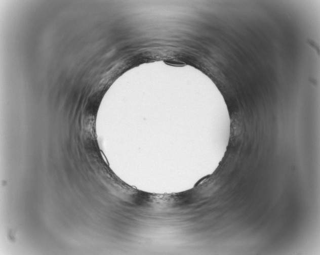 X0000100190141200806271627