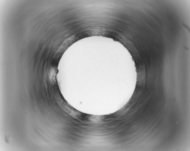 X0000100190142200806271627