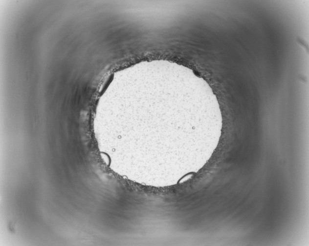 X0000100190144200806271627