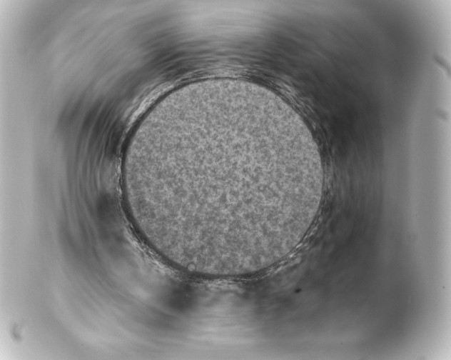 X0000100190146200806271627