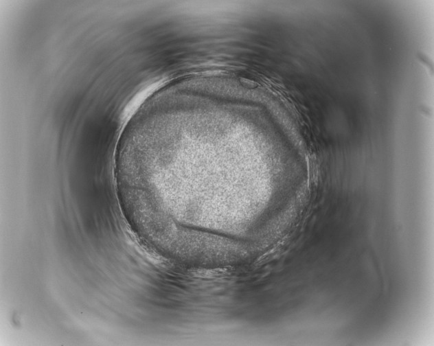 X0000100190147200806271627