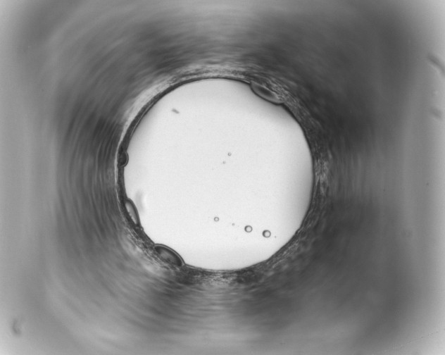 X0000100190148200806271627