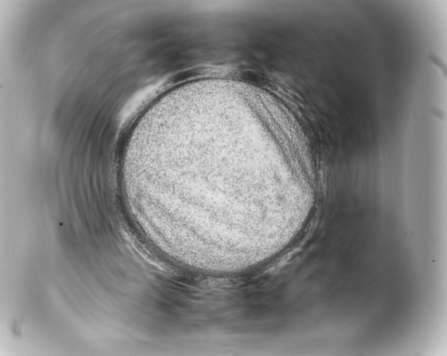 X0000100190149200806271627