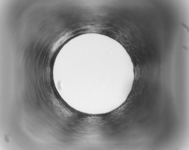 X0000100190150200806271627